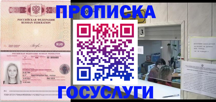 прописка паспорт в Сольцах